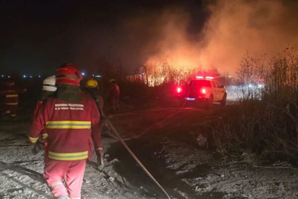 Animales muertos, evacuados, cortes de luz, agua y mas de 25 focos de incendios