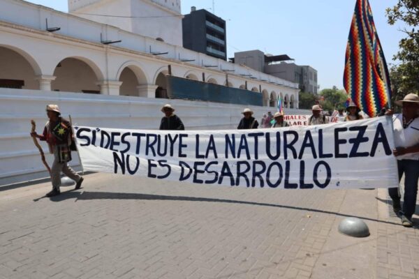 Multitudinaria movilización en Salta en defensa del ambiente