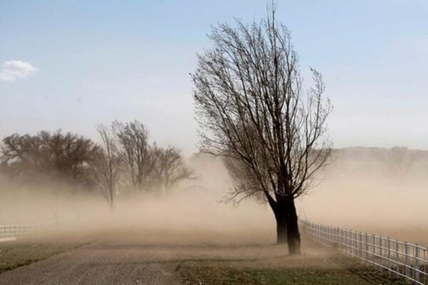 Alerta por viento Zonda y ráfagas de más de 120 km/h en sectores de Salta