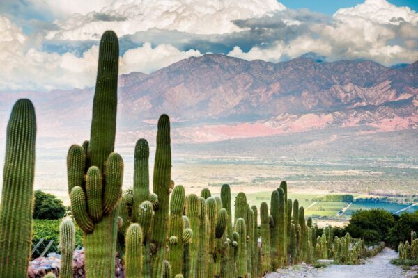 Salta celebra la Semana del Turismo con propuestas en distintos puntos de la provincia