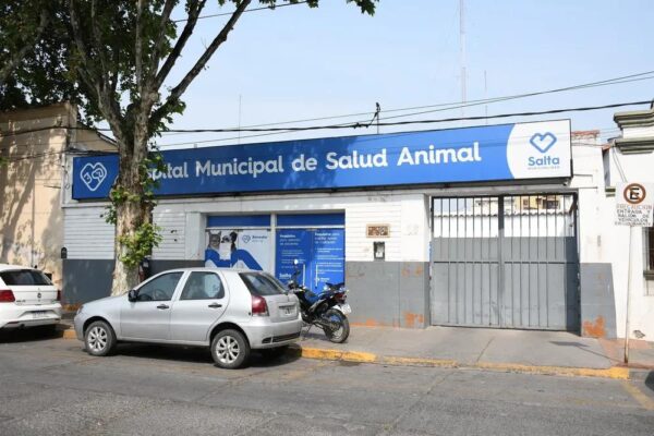 El nuevo Hospital Municipal de Salud Animal comienza a hacerse realidad en Salta