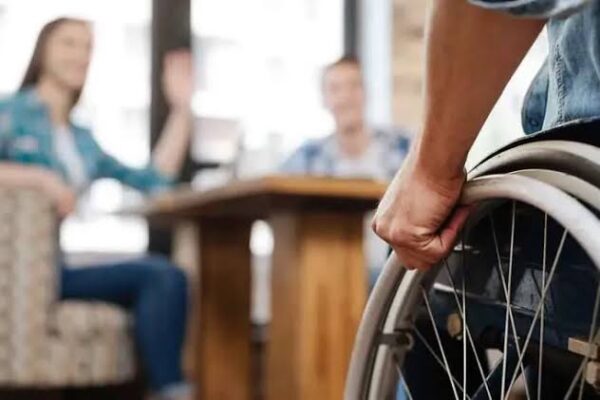 Salta expuso en el Congreso la demora en las pensiones por discapacidad